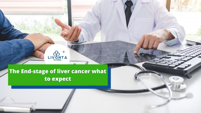 The End Stage Of Liver Cancer What To Expect Livonta Global Pvt Ltd 4903