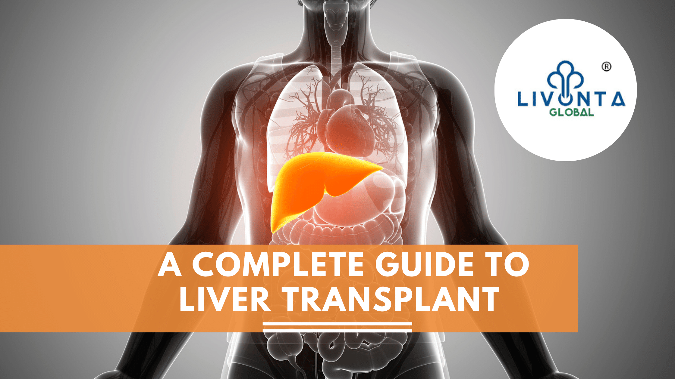 A Complete Guide To Liver Transplant