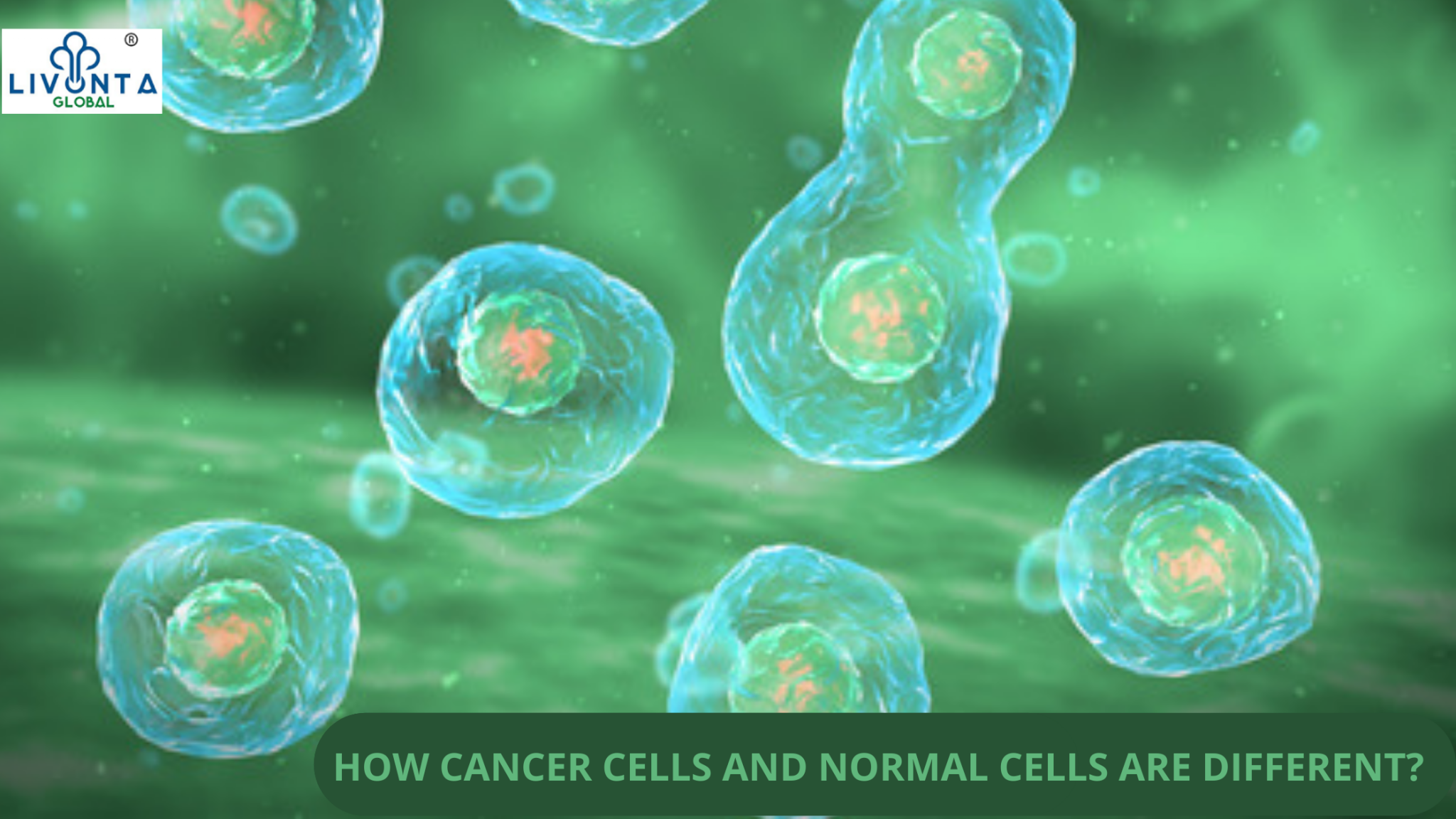 how-cancer-cells-and-normal-cells-are-different-livonta-global-pvt-ltd