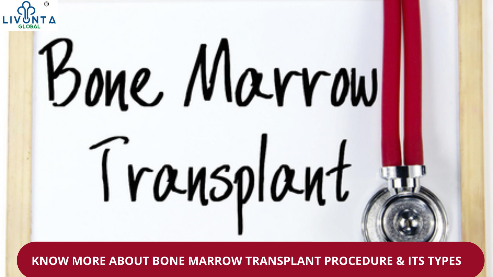 Know More About Bone Marrow Transplant Procedure And Its Types Livonta Global Pvt Ltd 1872