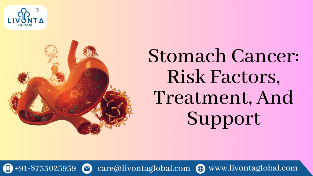 Stomach Cancer: Risk Factors, Treatment, And Support - Livonta Global ...