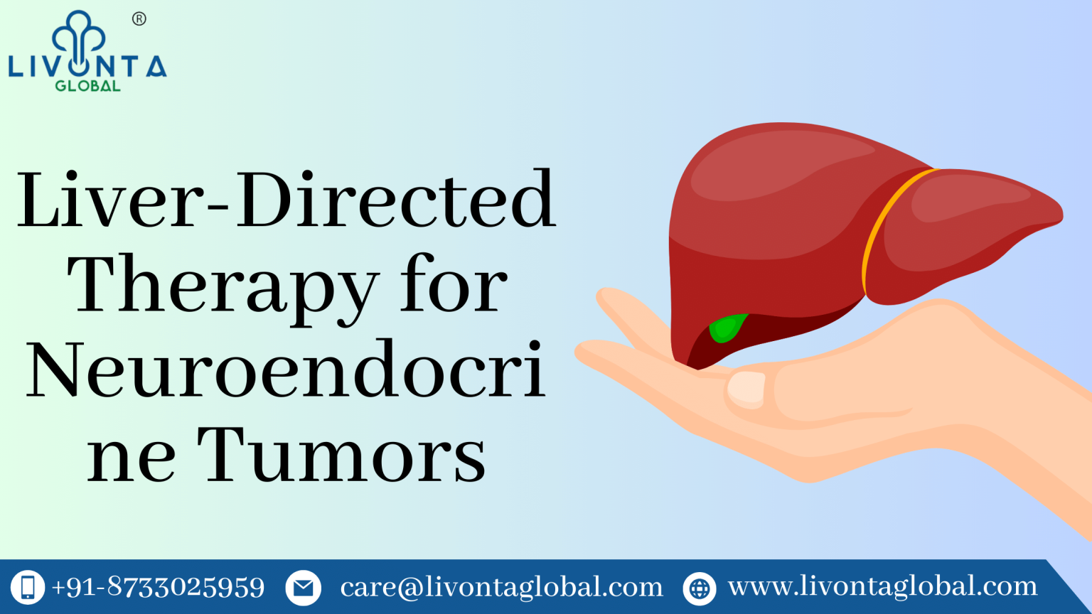 Liver Directed Therapy For Neuroendocrine Tumors Livonta Global Pvt Ltd 4164